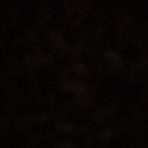 Meet your Posher, Ricardo